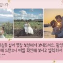 아뜰리엔제주