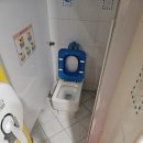 서초연꽃 이미지