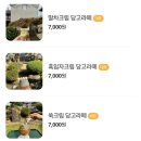 카페사가와