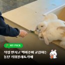 메리커피 서동탄병점점 | 동탄 병점 동물카페 키워볼래, 예민한 아이 교감체험 (입장료만큼 카페무료이용)