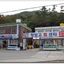 남해도횟집 티스토리