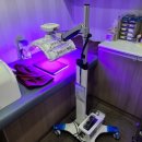 가인메드 이미지