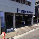 광교 애견동반카페 오드문 또 가고 싶은 내돈내산 후기
