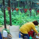 봉달이공방 | 팔현(2013.05.31-06.01)미니멀캠핑[봉달이&루라]