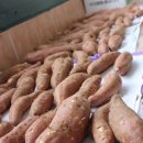 오남매농장 이미지