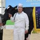 계전목장 이미지