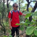 송추미가 이미지