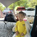 도둑골신규 이미지