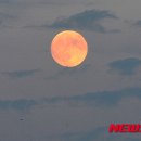 남해랑바다랑 이미지