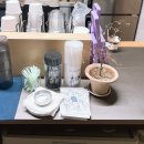 낙하주의 | 서울｜경춘선숲길 태릉입구역 아이스크림 파는 카페 공릉 낙하주의 솔직후기