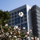 금호동주민센터 이미지