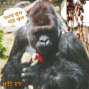 이영우농장 이미지