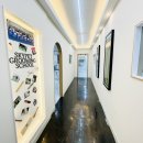 스카이애견 이미지