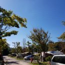 주암오토캠핑장 이미지