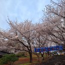 봉황대공원(주차장입구) 이미지