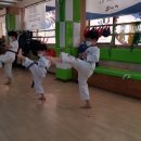 경희대석사 흑룡태권도 이미지