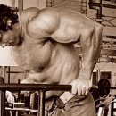 카프리짐 이미지