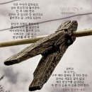 엄마런닝구 이미지