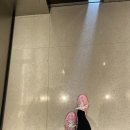 더현대대구반스