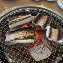 폭풍장어 이미지