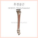 웨이투짐