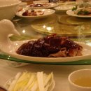 황실오리 이미지