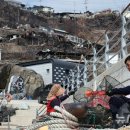 강구중고등학교 이미지