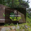 노아의숲관광농원