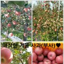 손항경로당 이미지