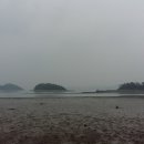 녹진무궁화동산 이미지