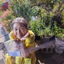 당진워터프리아 이미지