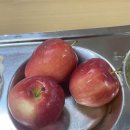 맥코리아중앙점 이미지