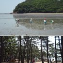 여행척척