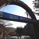 사미정계곡펜션2호 | 가평 카라반 추천 새연카라반 글램핑 설악2호점 커플 감성 여행