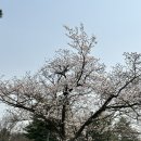동궁숯불갈비