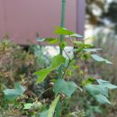 영명농장 이미지