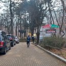 앞산강아지 이미지