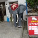 점보빌리지 이미지