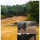 이색선생묘일원 이미지