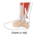 RM 피트니스 이미지