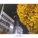 옥거리작은도서관 이미지