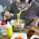 온양진국수 이미지