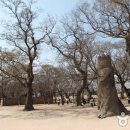 달빛관광 코스 이미지