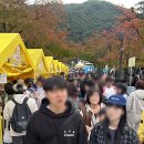 초밥친구김밥 | 2025 김천김밥축제 꿀팁, 셔틀버스, 주차, 굿즈, 대표김밥, 볼거리, 공연, 현지인 방문후기