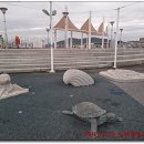 신리삼거리 교통섬 맞은편 | 남파랑길 장흥.강진80구간