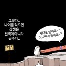 호텔로제 이미지