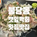 깻잎막회천안 | [천안] 천안불당동맛집 횟집, 깻잎막회 불당점 후기