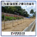 대전대화초교 이미지