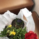 자연은동물병원 이미지