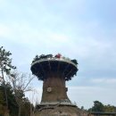 목련2단지(아)경로당 | 경남 창원 시민에게 애물단지 취급받는 창원 “빅트리”와 ‘빅브릿지’ 솔직 후기!